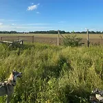 - Ruhige Lage, Free Wlan & Parken, Self Check-in, Smart-tv Διαμέρισμα