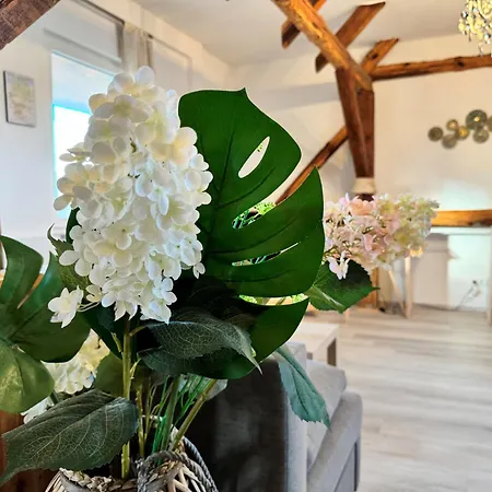 - Ruhige Lage, Free Wlan&parken, Self Check-in, Smart-tv * Bomsdorf