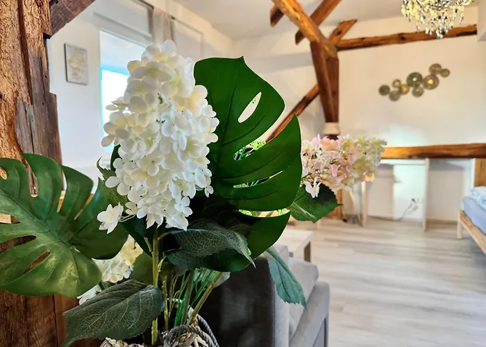 - Ruhige Lage, Free Wlan&parken, Self Check-in, Smart-tv * Bomsdorf