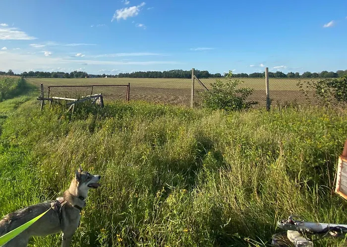 - Ruhige Lage, Free Wlan & Parken, Self Check-in, Smart-tv Appartement